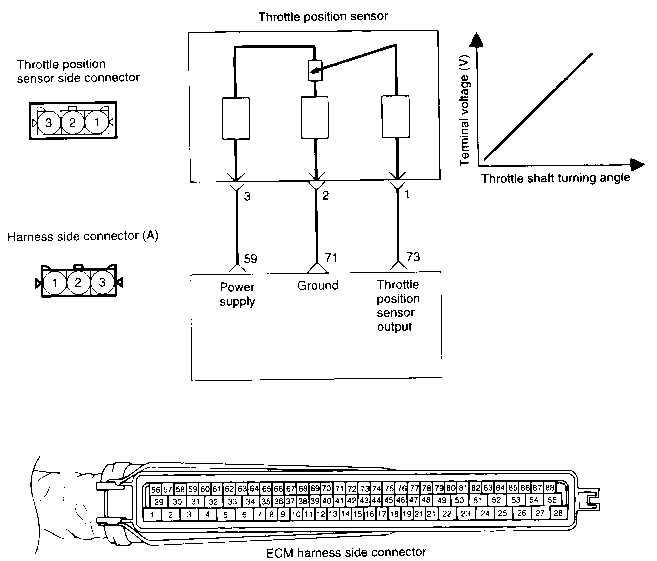 CIRCUIT DIAGRAM Position Sensor Wiring Diagram NewtonNet