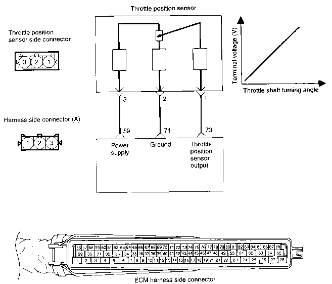 Car Wiring - Throttle Position Sensor The throttle